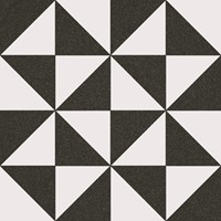 1900 20x20 Terrades Grafito