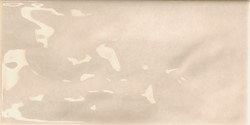 Joyful Greige 10x20