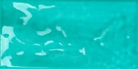 Joyful Turquoise 10x20