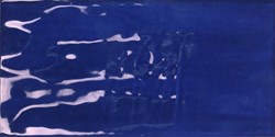 Joyful Navy 10x20