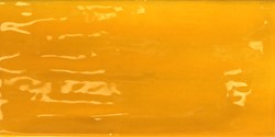 Joyful Mango 10x20