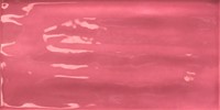 Joyful Pitaya 10x20