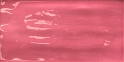 Joyful Pitaya 10x20