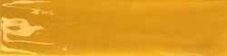 Joyful Mango 10x40
