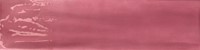 Joyful Pitaya 10x40