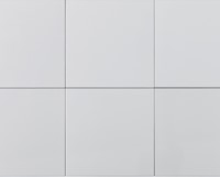 20x20