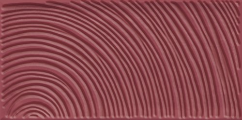 Etnia 10x20 Viet Marsala