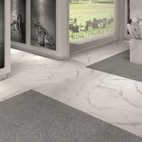 Doney-R Blanco 60x120-3
