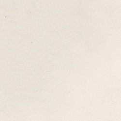 Zellige Classique Ivory 10x10