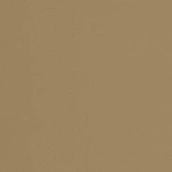Zepto Siena 13x13